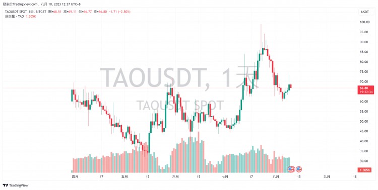 6个长期看好的代币盘点：SOLKASINJ......